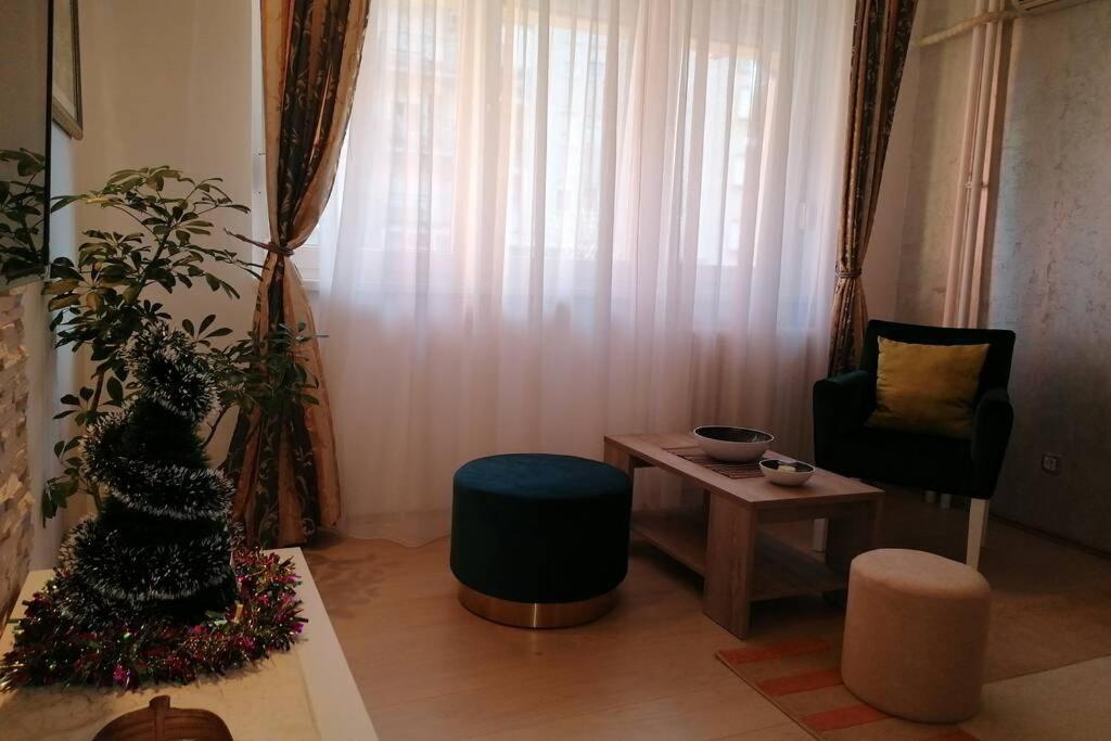 Oasis Felix Apartment Belgrade Extérieur photo