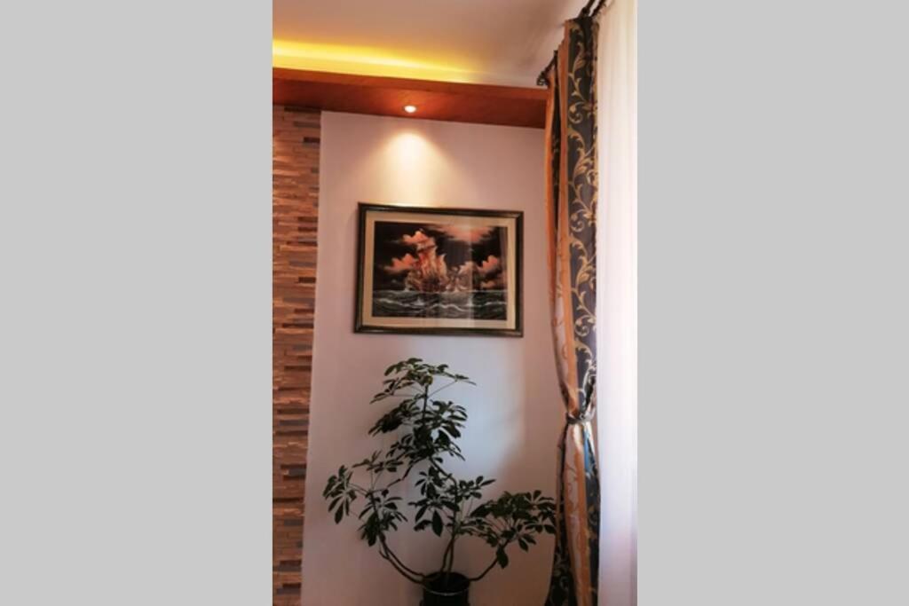 Oasis Felix Apartment Belgrade Extérieur photo