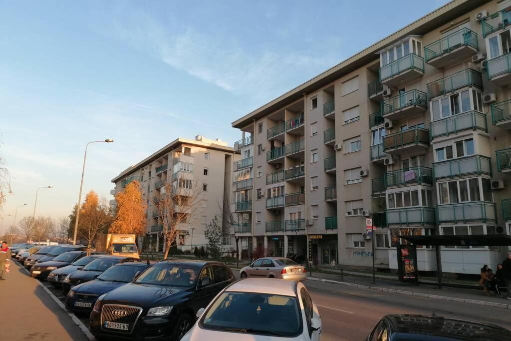 Oasis Felix Apartment Belgrade Extérieur photo