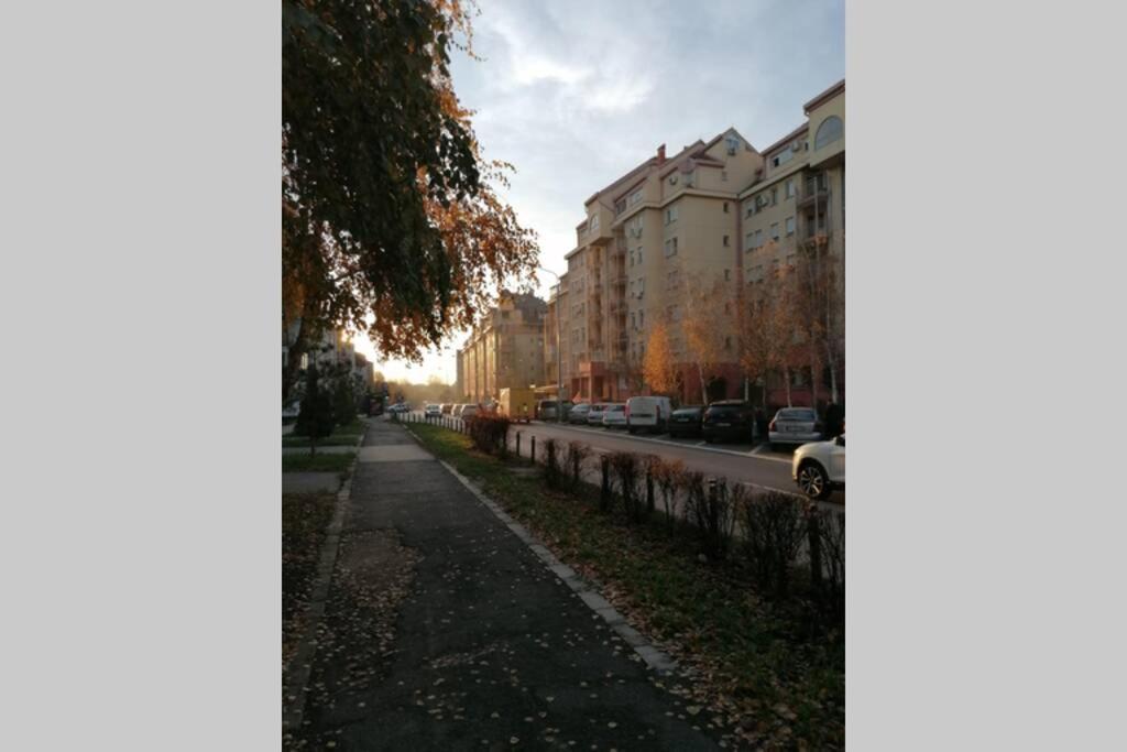 Oasis Felix Apartment Belgrade Extérieur photo